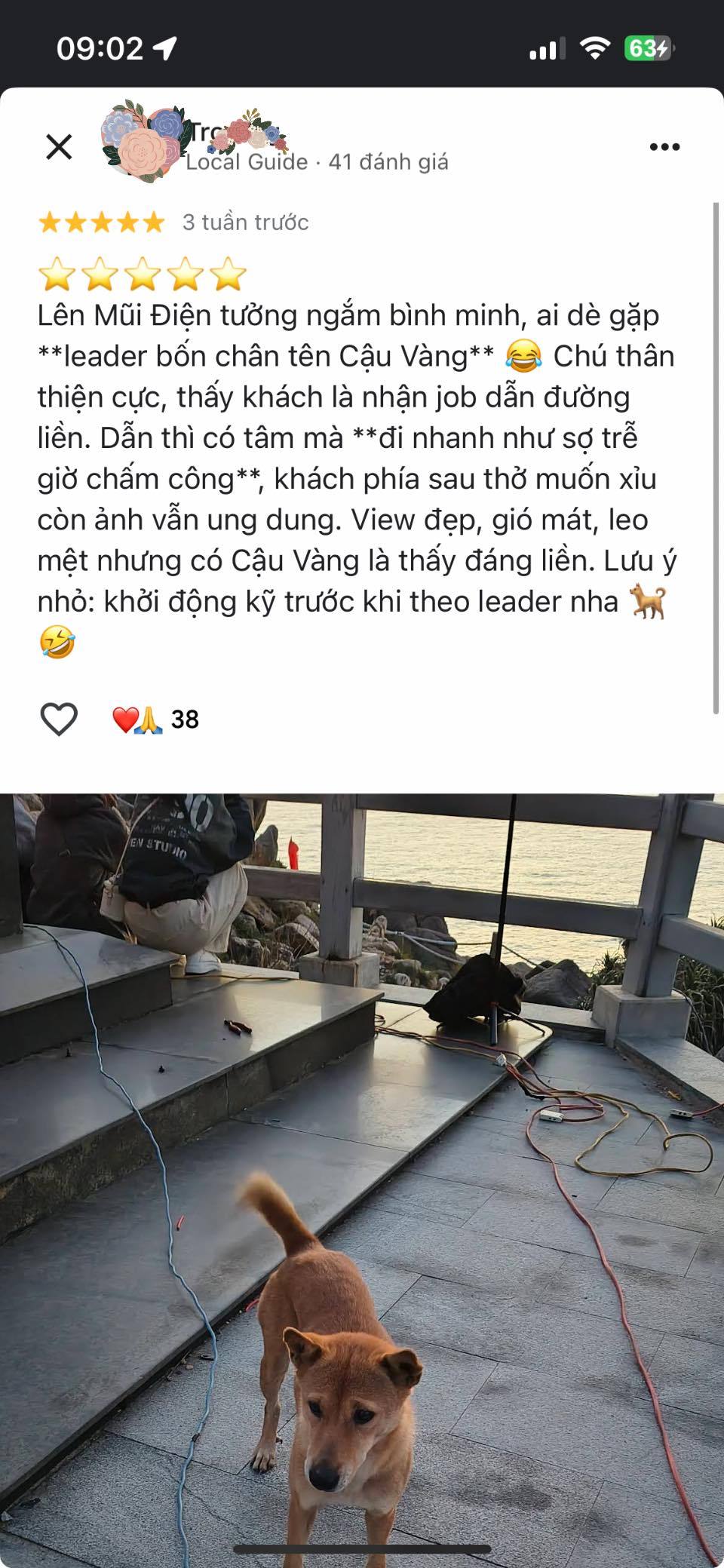 Ch&uacute; ch&oacute; v&agrave;ng được đ&aacute;nh gi&aacute; 5 sao tr&ecirc;n Google Maps v&igrave; dẫn đường kh&aacute;ch du lịch qu&aacute; c&oacute; t&acirc;m- Ảnh 2.