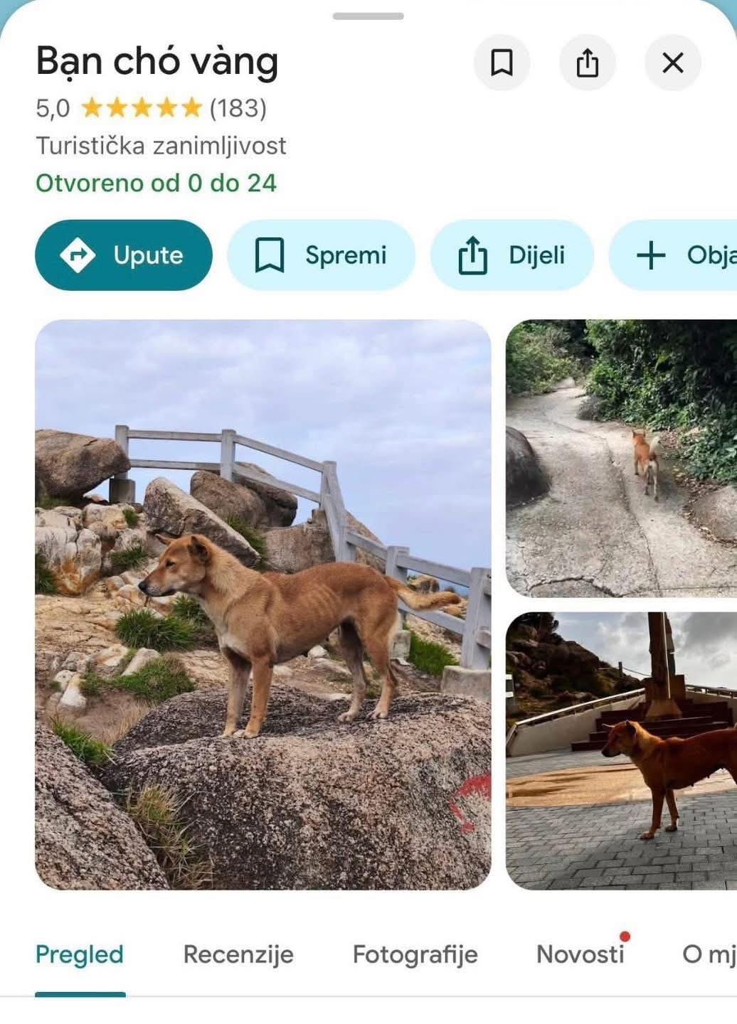 Ch&uacute; ch&oacute; v&agrave;ng được đ&aacute;nh gi&aacute; 5 sao tr&ecirc;n Google Maps v&igrave; dẫn đường kh&aacute;ch du lịch qu&aacute; c&oacute; t&acirc;m- Ảnh 4.