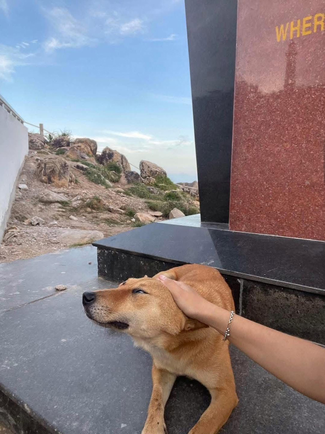 Ch&uacute; ch&oacute; v&agrave;ng được đ&aacute;nh gi&aacute; 5 sao tr&ecirc;n Google Maps v&igrave; dẫn đường kh&aacute;ch du lịch qu&aacute; c&oacute; t&acirc;m- Ảnh 1.