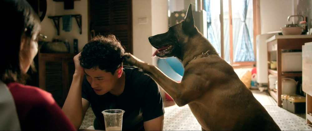 Chuyện g&igrave; đang xảy ra với phim Việt giờ v&agrave;ng?- Ảnh 6.