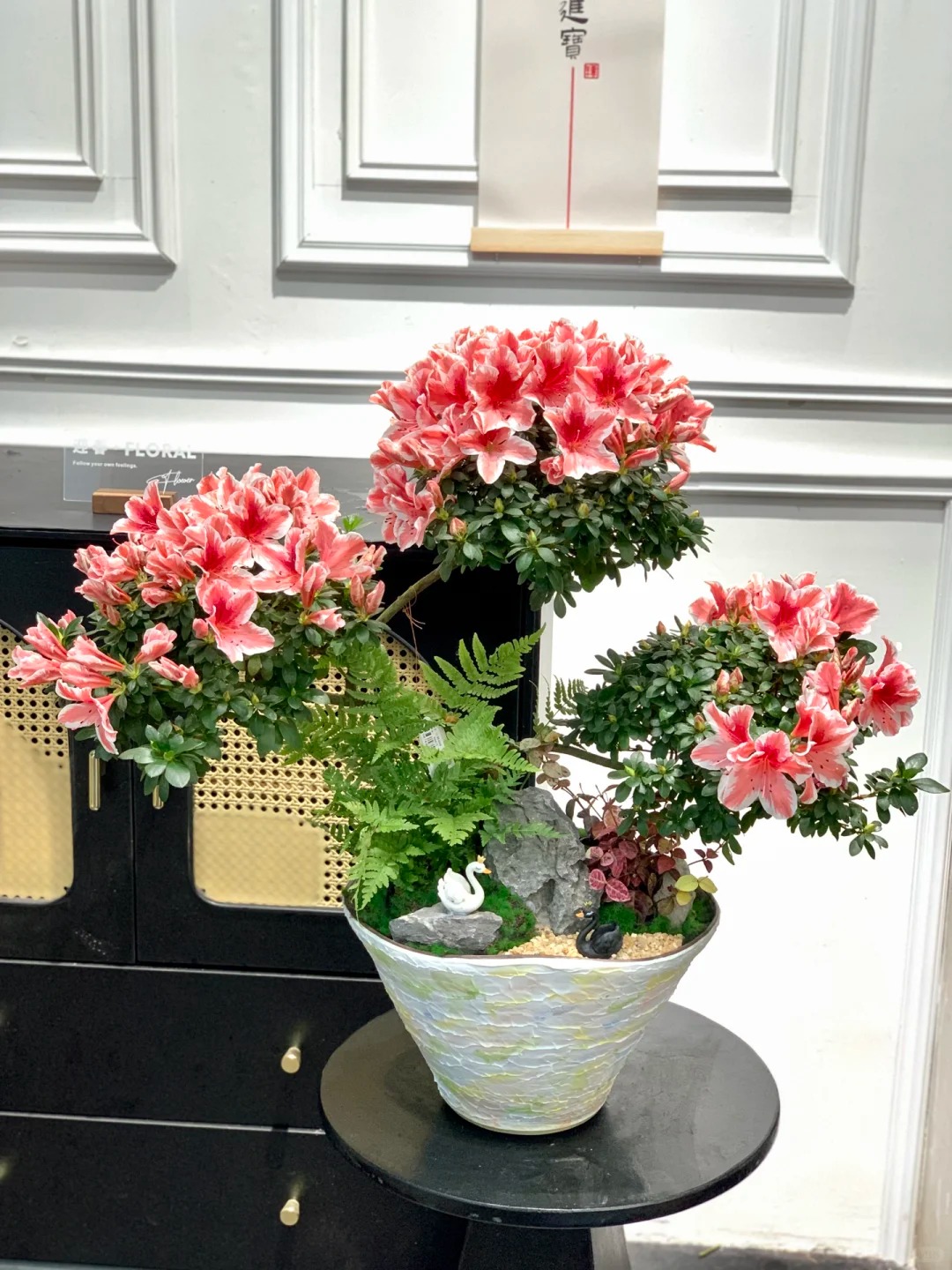 Nhiều chị em đang m&ecirc; mẩn săn l&ugrave;ng đỗ quy&ecirc;n tr&acirc;n ch&acirc;u chơi Tết: Lo&agrave;i hoa sang chảnh nhưng cực "đỏng đảnh", chăm sao cho đ&uacute;ng?- Ảnh 8.