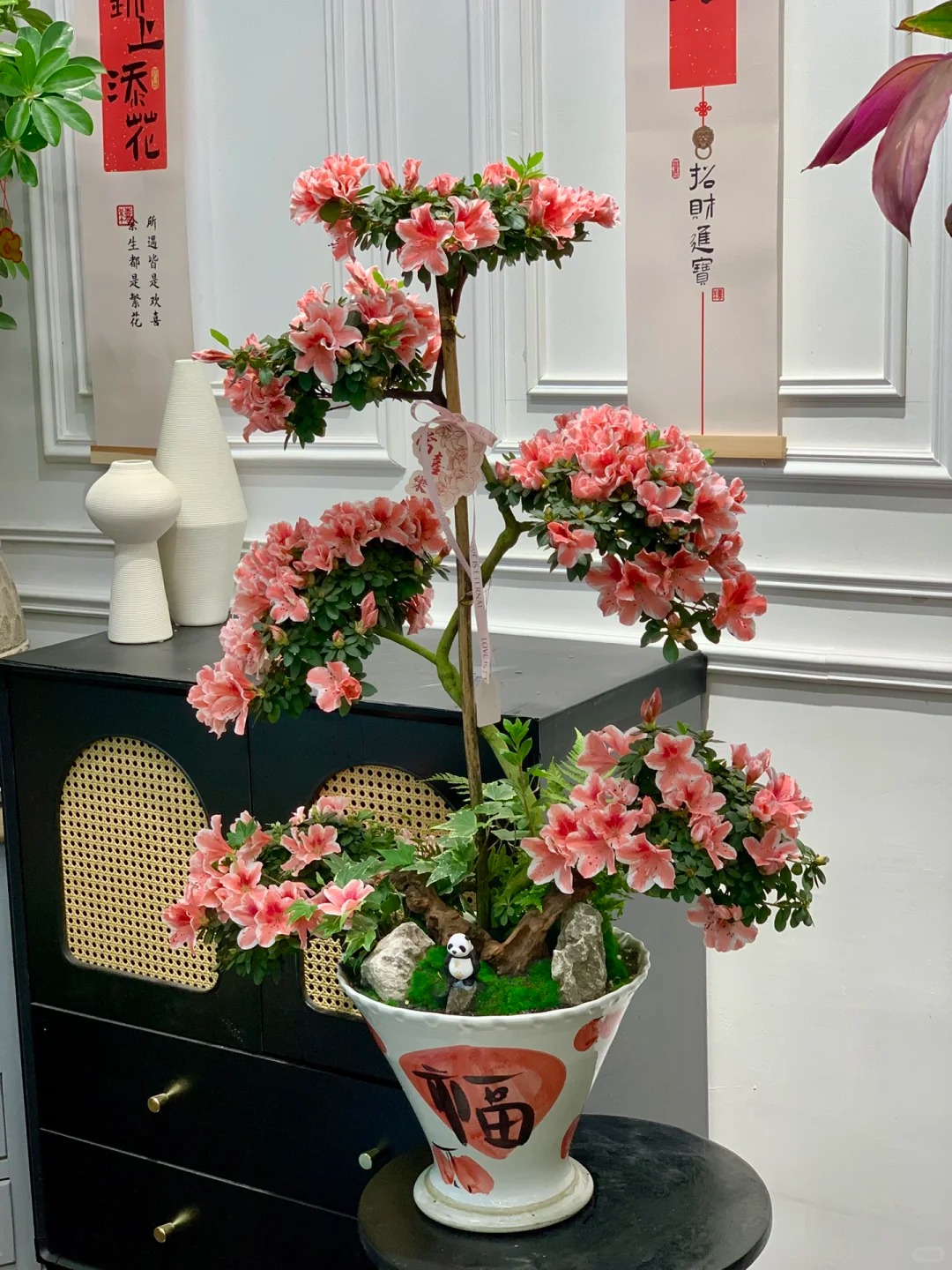 Nhiều chị em đang m&ecirc; mẩn săn l&ugrave;ng đỗ quy&ecirc;n tr&acirc;n ch&acirc;u chơi Tết: Lo&agrave;i hoa sang chảnh nhưng cực "đỏng đảnh", chăm sao cho đ&uacute;ng?- Ảnh 19.