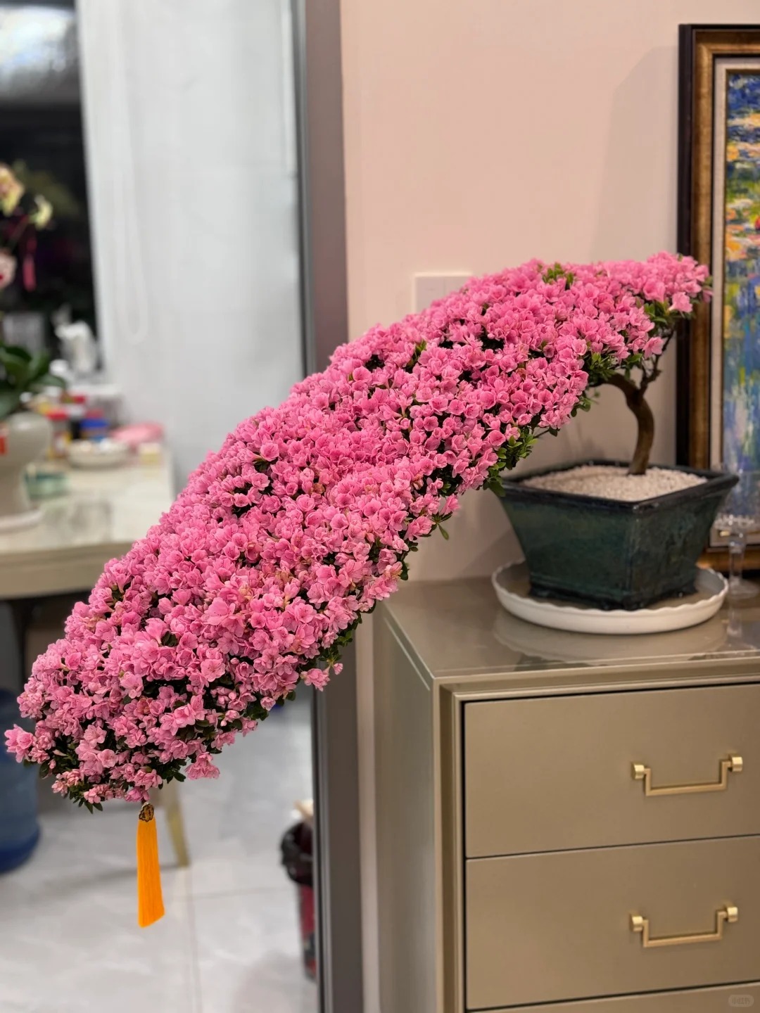 Nhiều chị em đang m&ecirc; mẩn săn l&ugrave;ng đỗ quy&ecirc;n tr&acirc;n ch&acirc;u chơi Tết: Lo&agrave;i hoa sang chảnh nhưng cực "đỏng đảnh", chăm sao cho đ&uacute;ng?- Ảnh 12.