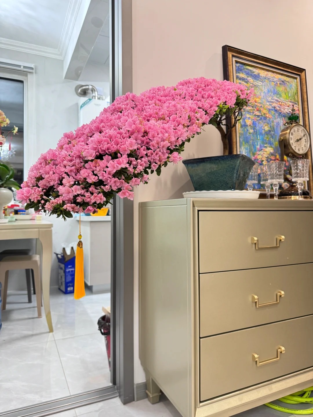 Nhiều chị em đang m&ecirc; mẩn săn l&ugrave;ng đỗ quy&ecirc;n tr&acirc;n ch&acirc;u chơi Tết: Lo&agrave;i hoa sang chảnh nhưng cực "đỏng đảnh", chăm sao cho đ&uacute;ng?- Ảnh 11.