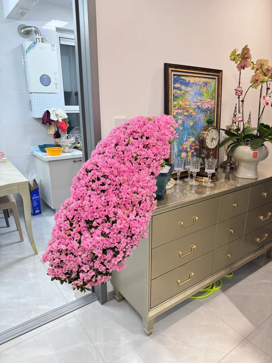 Nhiều chị em đang m&ecirc; mẩn săn l&ugrave;ng đỗ quy&ecirc;n tr&acirc;n ch&acirc;u chơi Tết: Lo&agrave;i hoa sang chảnh nhưng cực "đỏng đảnh", chăm sao cho đ&uacute;ng?- Ảnh 9.