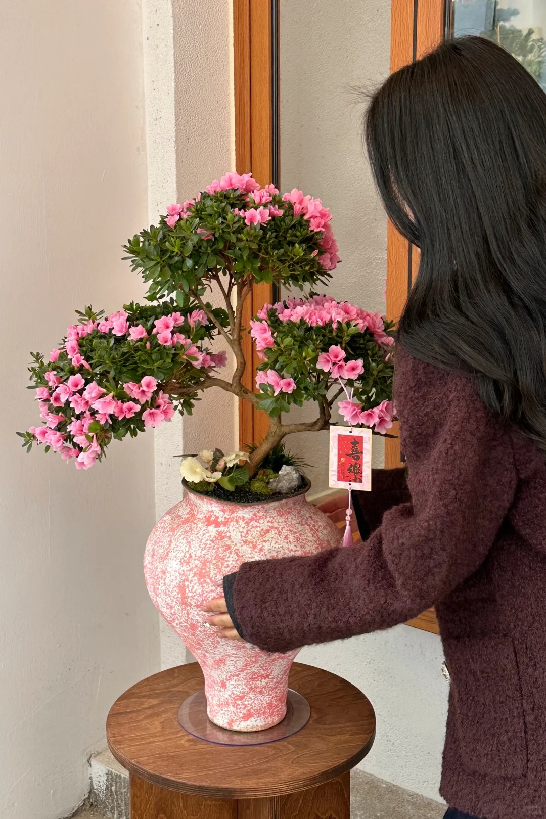 Nhiều chị em đang m&ecirc; mẩn săn l&ugrave;ng đỗ quy&ecirc;n tr&acirc;n ch&acirc;u chơi Tết: Lo&agrave;i hoa sang chảnh nhưng cực "đỏng đảnh", chăm sao cho đ&uacute;ng?- Ảnh 22.