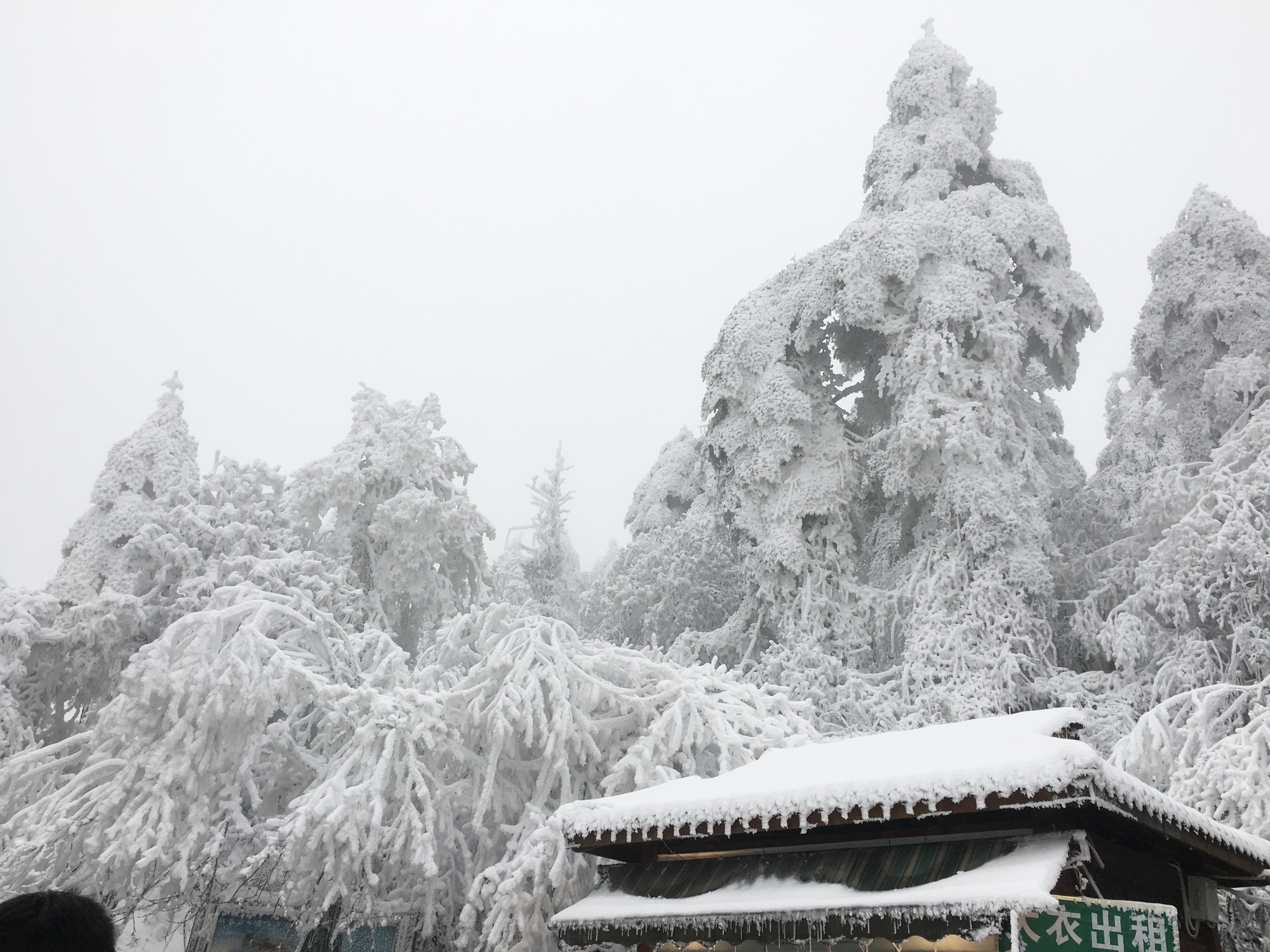 Kh&aacute;ch Việt bị cấm mặc &aacute;o hoa l&ecirc;n n&uacute;i khi du lịch Trung Quốc, nghe l&yacute; do xong kh&ocirc;ng ai d&aacute;m tr&aacute;i lời- Ảnh 1.