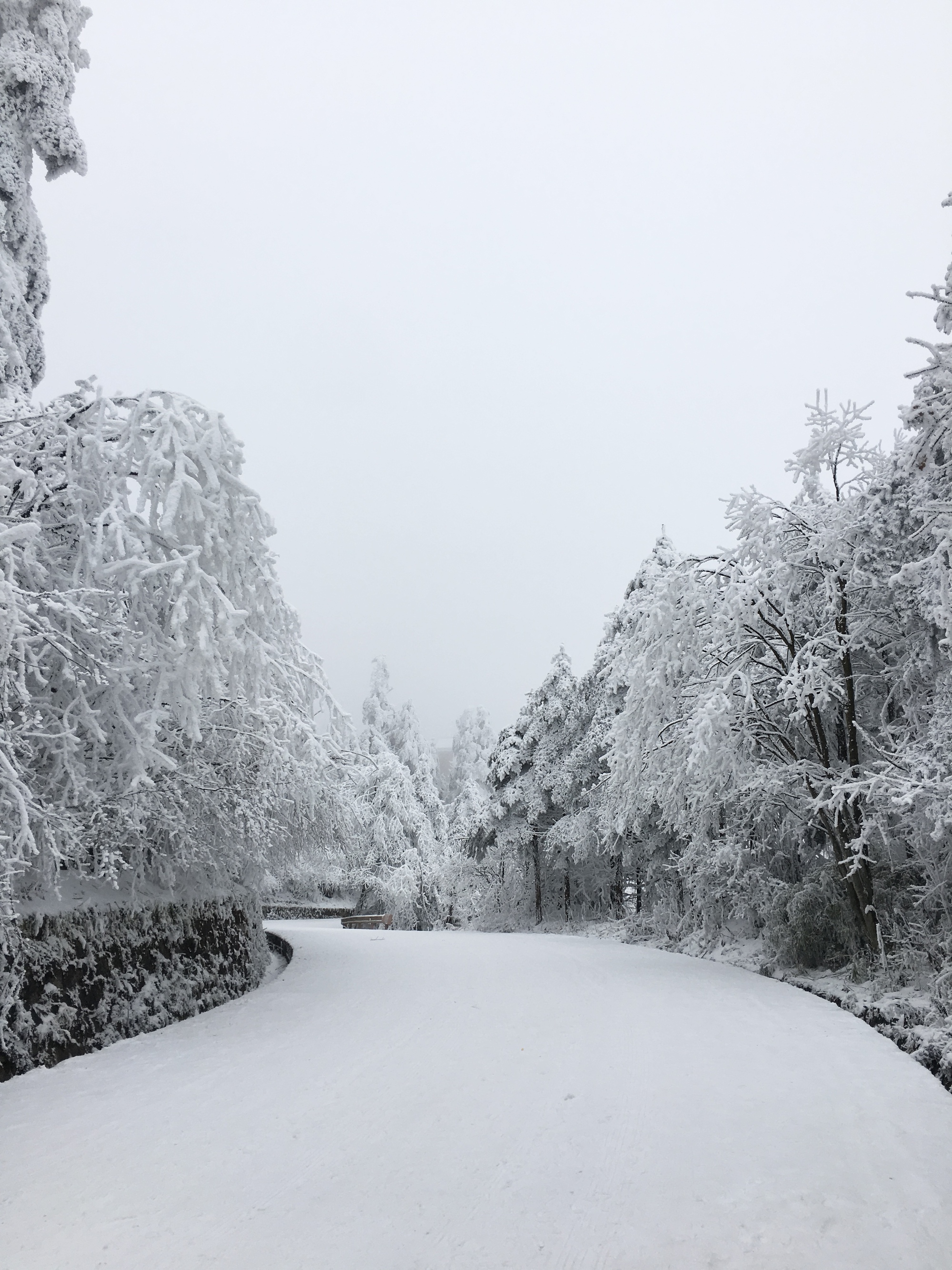 Kh&aacute;ch Việt bị cấm mặc &aacute;o hoa l&ecirc;n n&uacute;i khi du lịch Trung Quốc, nghe l&yacute; do xong kh&ocirc;ng ai d&aacute;m tr&aacute;i lời- Ảnh 2.