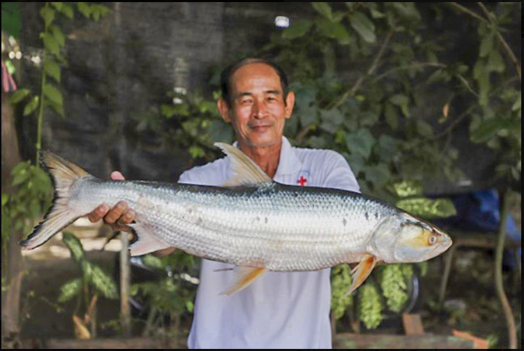 Lần theo dấu vết của c&aacute; thể lạ, l&aacute;ng giềng Việt Nam bất ngờ ph&aacute;t hiện lo&agrave;i vật 