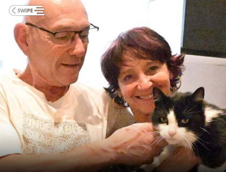 Kỳ t&iacute;ch ch&uacute; m&egrave;o vượt 250km từ T&acirc;y Ban Nha t&igrave;m đường về Ph&aacute;p sau 5 th&aacute;ng mất t&iacute;ch- Ảnh 1.