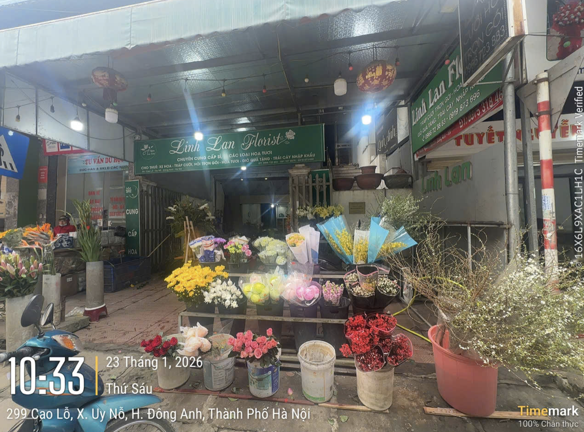 N&Oacute;NG: 226 trường hợp bị phạt nguội v&igrave; vi phạm trật tự đ&ocirc; thị, vệ sinh m&ocirc;i trường- Ảnh 5.