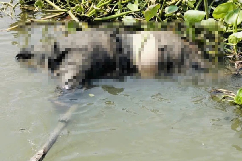 Nam thanh ni&ecirc;n ở TP.HCM mất li&ecirc;n lạc sau cuộc gọi với bố: Cảnh tượng b&ecirc;n bờ s&ocirc;ng khiến người d&acirc;n b&agrave;ng ho&agrave;ng- Ảnh 1.