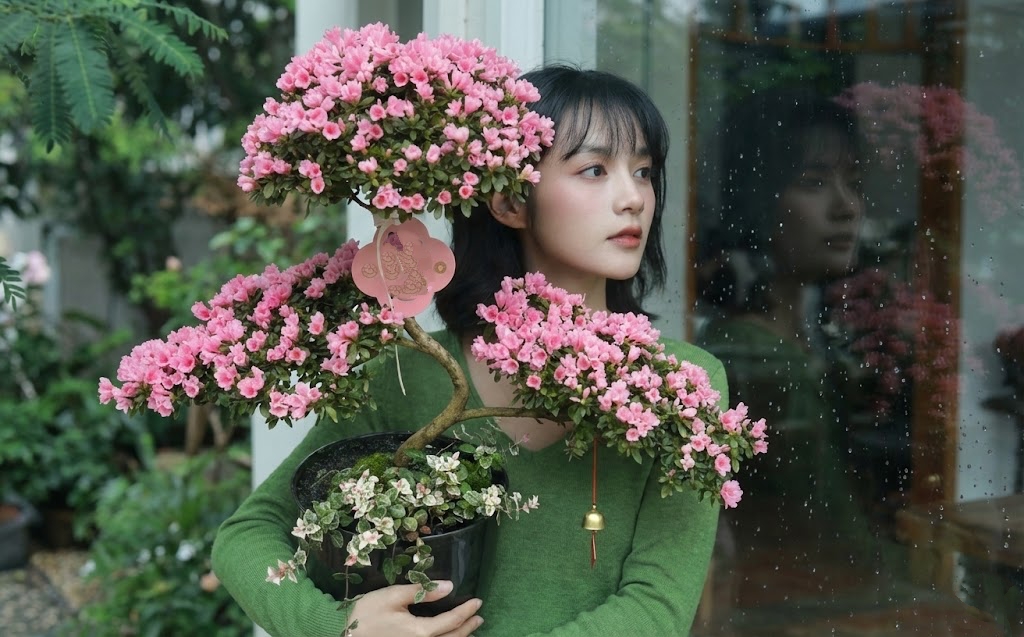 Nhiều chị em đang m&ecirc; mẩn săn l&ugrave;ng đỗ quy&ecirc;n tr&acirc;n ch&acirc;u chơi Tết: Lo&agrave;i hoa sang chảnh nhưng cực "đỏng đảnh", chăm sao cho đ&uacute;ng?- Ảnh 1.