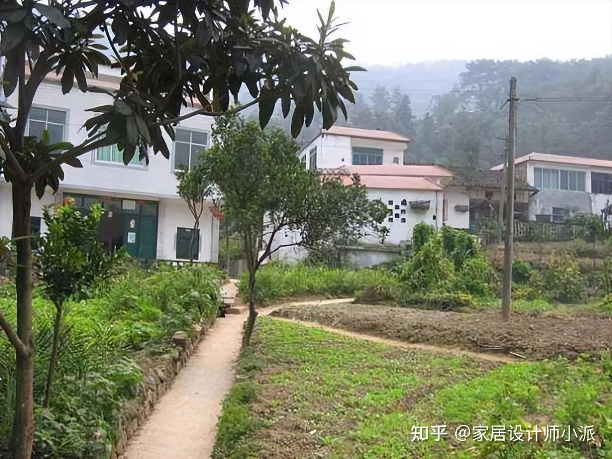 63 tuổi, tổng lương hưu 56 triệu/th&aacute;ng: T&ocirc;i về qu&ecirc; nghỉ hưu chưa đầy một năm đ&atilde; phải "bỏ chạy" - v&igrave; b&agrave;i to&aacute;n t&agrave;i ch&iacute;nh m&agrave; ch&uacute;ng t&ocirc;i đ&aacute;nh gi&aacute; qu&aacute; ng&acirc;y thơ- Ảnh 2.