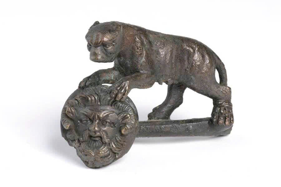 Ph&aacute;t hiện tr&ecirc;n c&aacute;nh đồng khiến giới khoa học r&ugrave;ng m&igrave;nh- Ảnh 2.