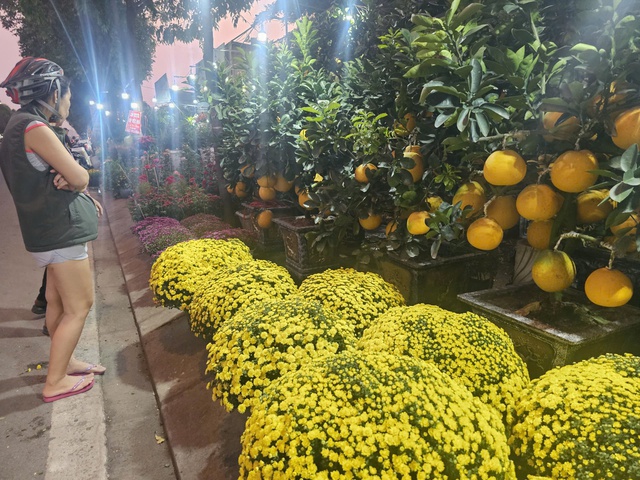 Gi&aacute; c&uacute;c m&acirc;m x&ocirc;i Tết c&oacute; rẻ khi nhiều nơi k&ecirc;u &ldquo;giải cứu&rdquo;?- Ảnh 3.