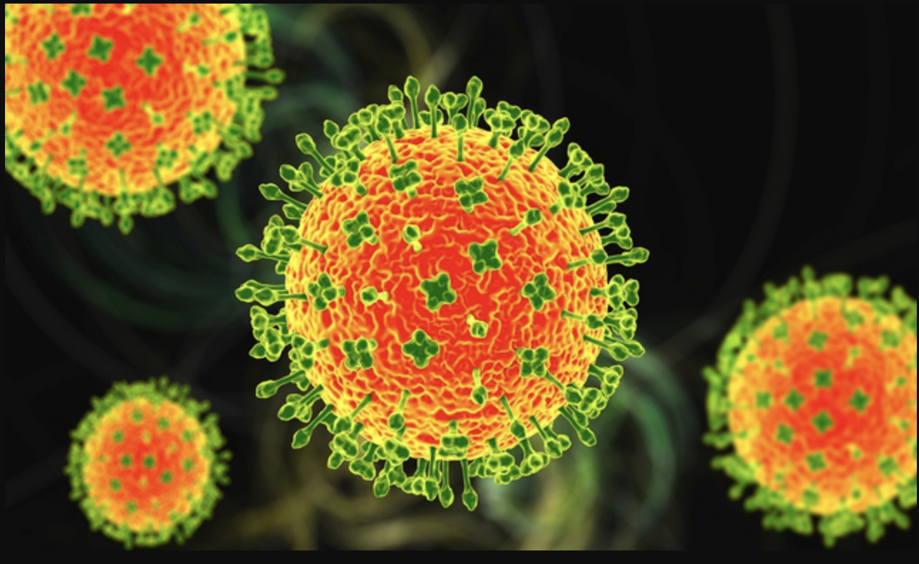 To&agrave;n cảnh virus Nipah: Mối đe dọa &acirc;m ỉ khiến thế giới lu&ocirc;n trong trạng th&aacute;i b&aacute;o động- Ảnh 5.