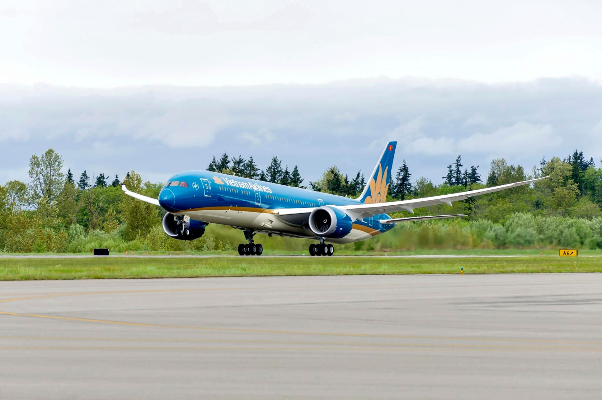 M&aacute;y bay Vietnam Airlines quay đầu khẩn cấp: L&yacute; do ph&iacute;a sau khiến h&agrave;ng trăm h&agrave;nh kh&aacute;ch đồng loạt im lặng, kh&ocirc;ng một lời ph&agrave;n n&agrave;n- Ảnh 2.