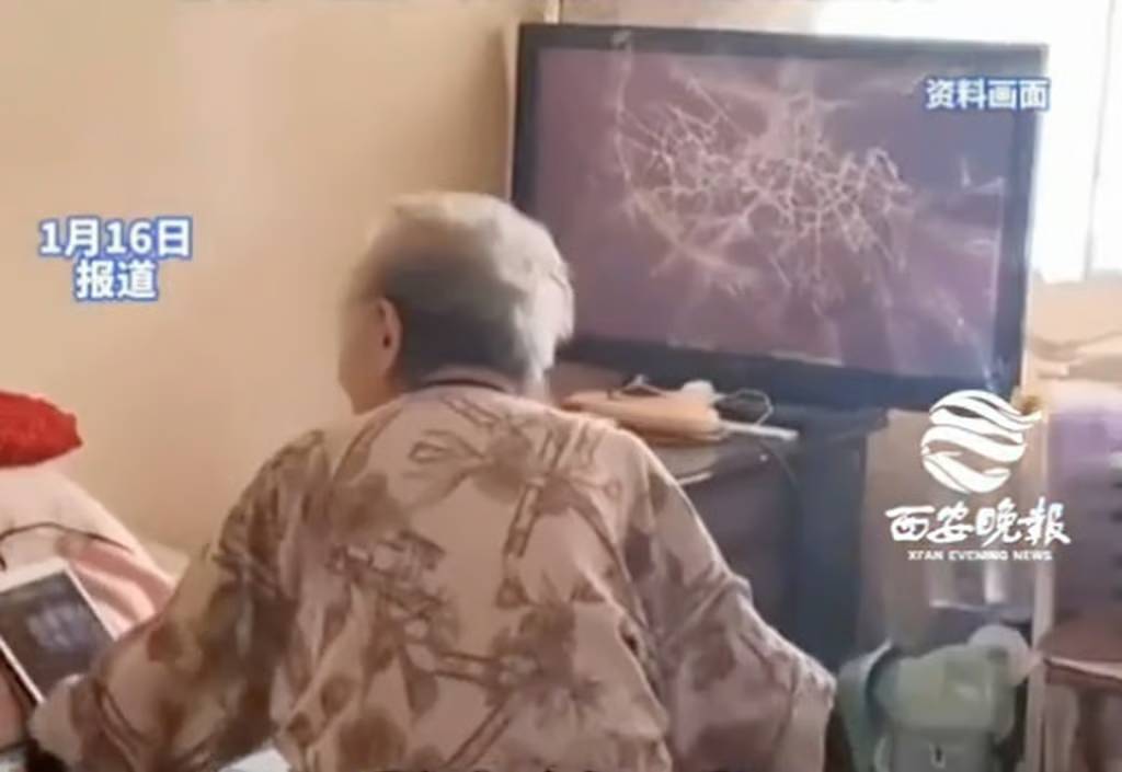 Cụ b&agrave; 91 tuổi đập vỡ tivi v&igrave; thấy nh&acirc;n vật y&ecirc;u th&iacute;ch trong phim bị bắt nạt- Ảnh 2.