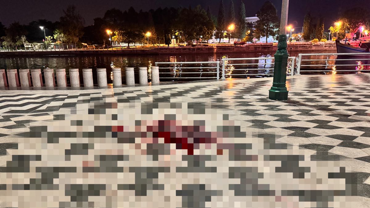 &Aacute;n mạng l&uacute;c nửa đ&ecirc;m tại c&ocirc;ng vi&ecirc;n Phan Thiết, một người tử vong- Ảnh 1.