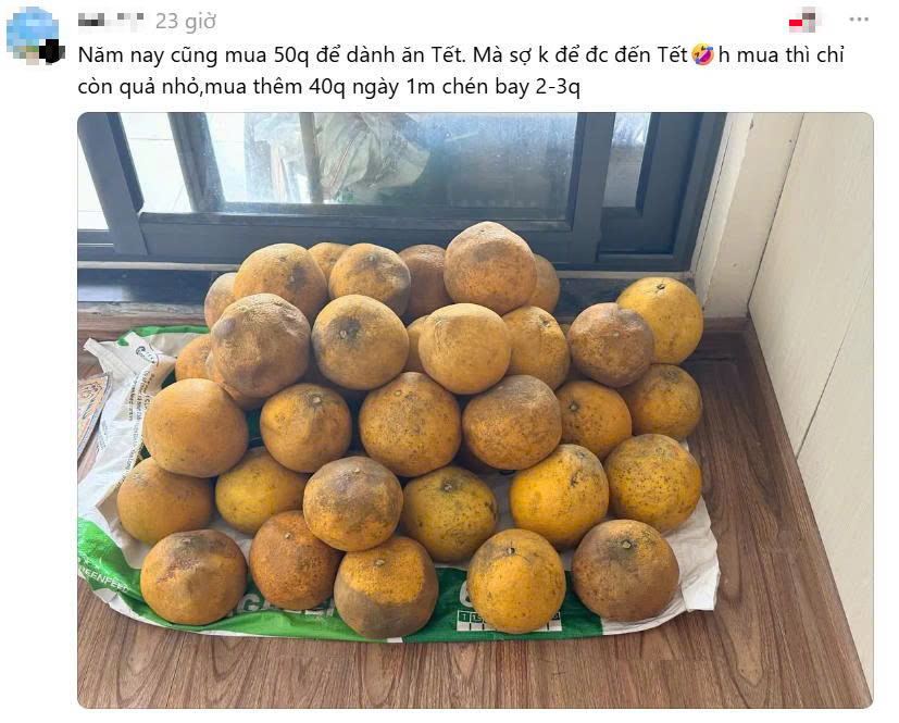 Trung b&igrave;nh nh&agrave; miền Bắc mỗi dịp Tết: C&agrave;ng xem c&agrave;ng dejavu, cảnh tượng n&agrave;y trong mơ cũng vẫn &aacute;m ảnh- Ảnh 5.