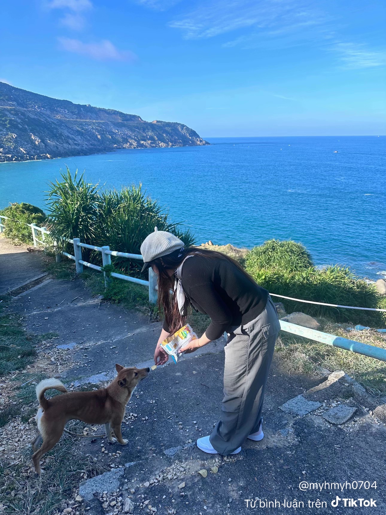 Ch&uacute; ch&oacute; v&agrave;ng hot nhất Việt Nam l&uacute;c n&agrave;y!- Ảnh 2.