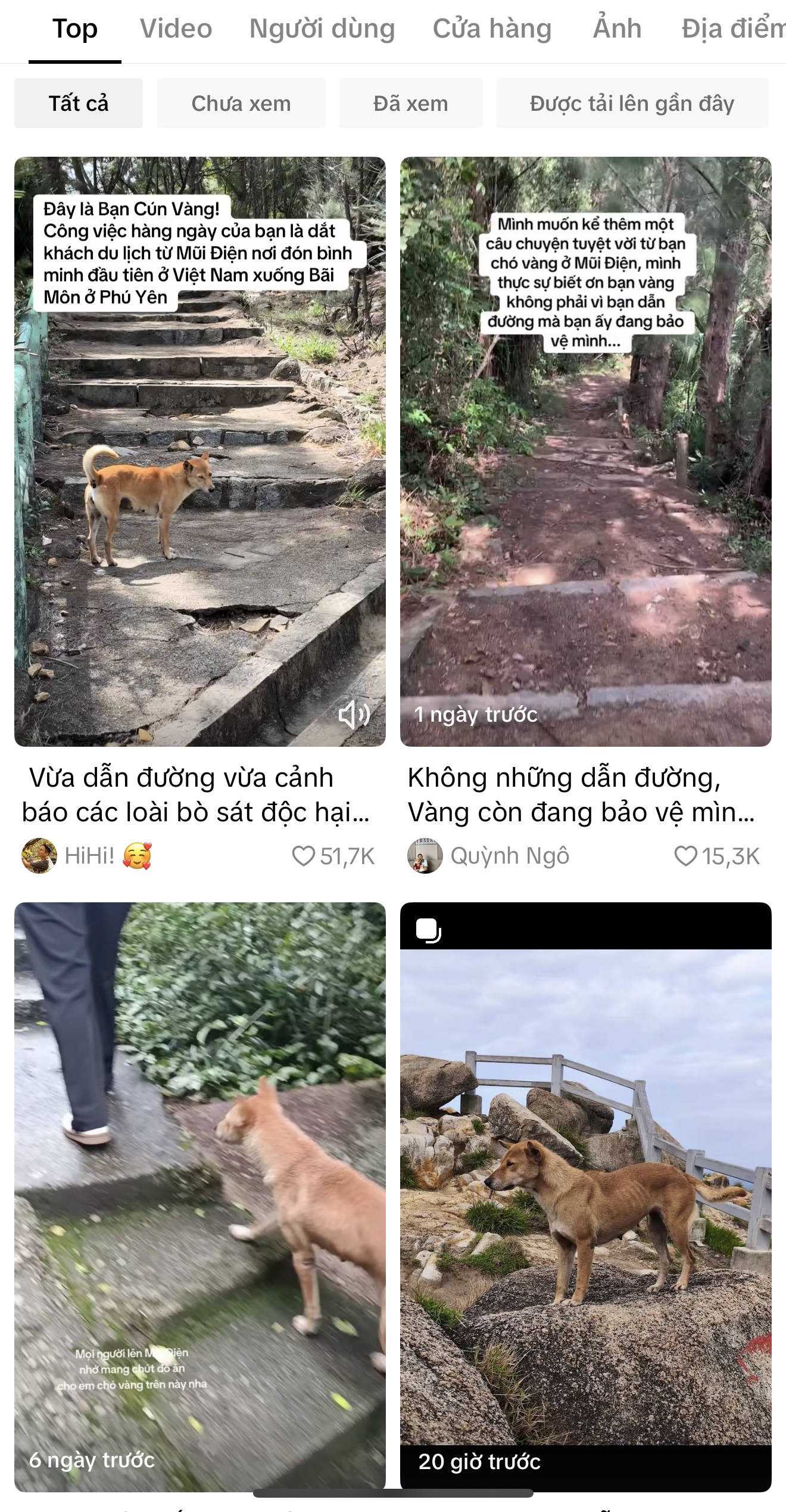 Ch&uacute; ch&oacute; v&agrave;ng hot nhất Việt Nam l&uacute;c n&agrave;y!- Ảnh 6.