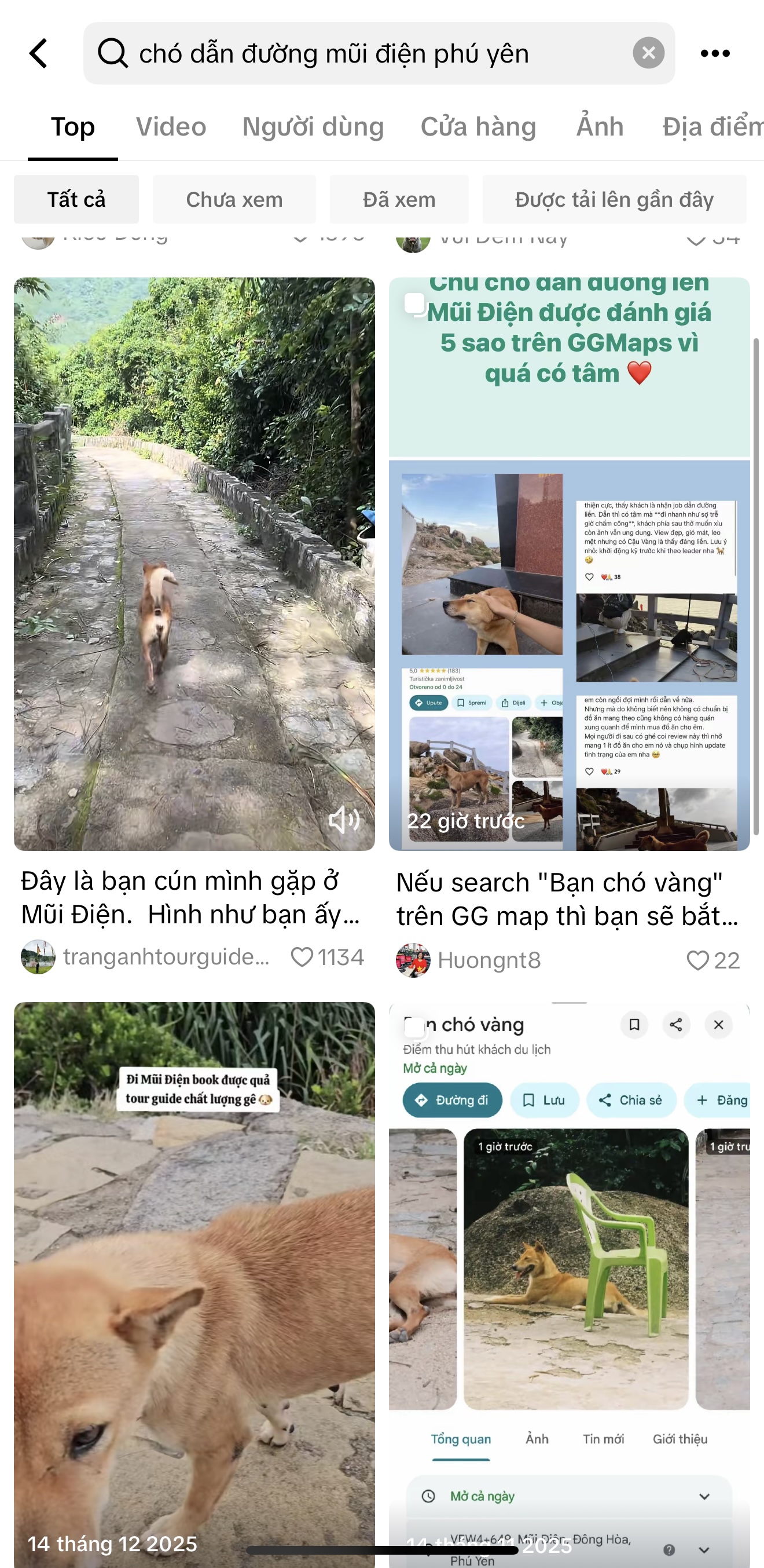 Ch&uacute; ch&oacute; v&agrave;ng hot nhất Việt Nam l&uacute;c n&agrave;y!- Ảnh 5.