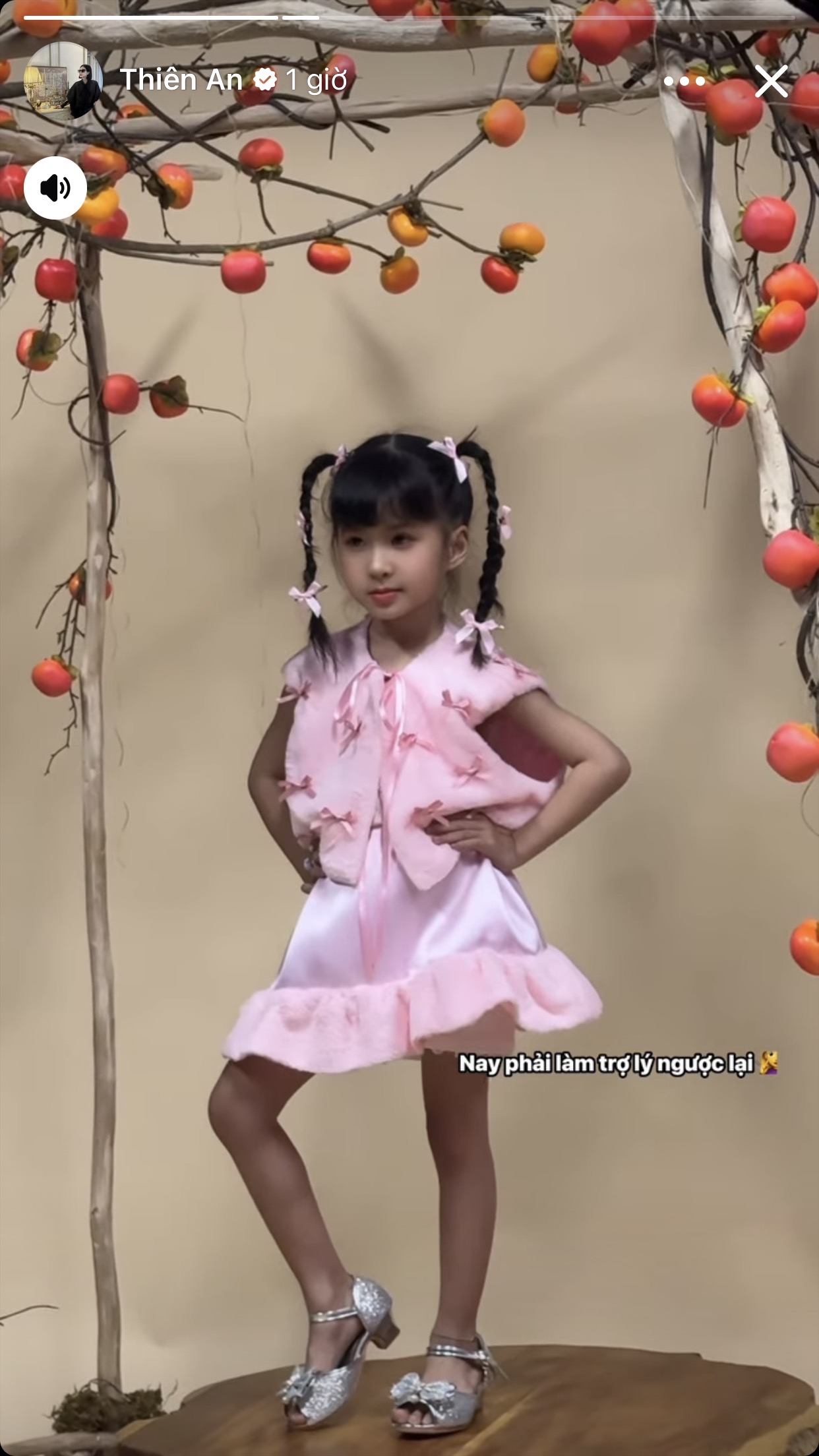 C&ocirc;ng việc trợ l&yacute; của Thi&ecirc;n An- Ảnh 1.