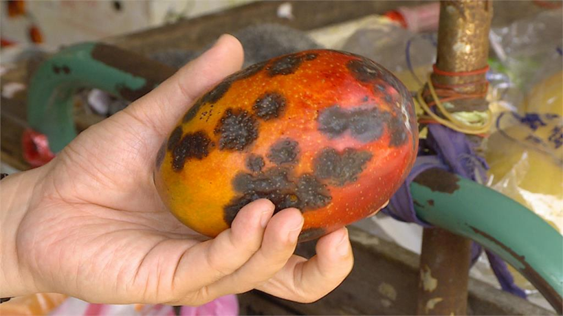 Cả gia đ&igrave;nh 3 người lần lượt qua đời: B&aacute;c sĩ li&ecirc;n tục cảnh b&aacute;o 4 loại thực phẩm để l&acirc;u trong tủ lạnh c&oacute; thể 