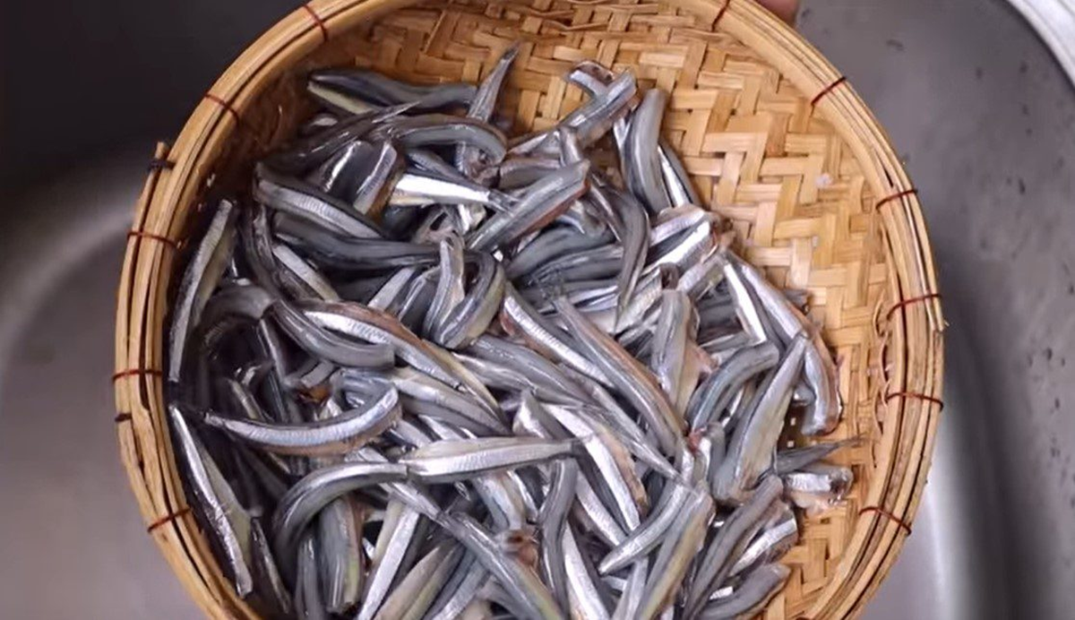 Loại c&aacute; "nh&agrave; ngh&egrave;o" lại l&agrave; kho thuốc qu&yacute; với cơ thể, chợ Việt b&aacute;n rẻ như cho- Ảnh 1.