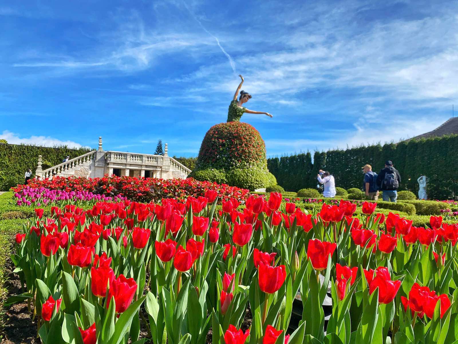Sun World Ba Na Hills hứa hẹn hút khách dịp Tết Bính Ngọ với hàng triệu bông tulip- Ảnh 1. Sun World Ba Na Hills hứa hẹn hút khách dịp Tết Bính Ngọ với hàng triệu bông tulip- Ảnh 1.