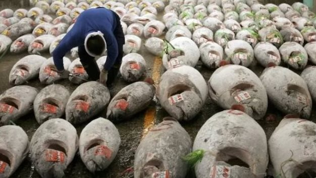 Kh&ocirc;ng phải sầu ri&ecirc;ng, một &lsquo;si&ecirc;u thực phẩm&rsquo; của Việt Nam được Mỹ v&agrave; ch&acirc;u &Acirc;u cực ưa chuộng: Thu về 924 triệu USD, nước ta xuất khẩu đứng top thế giới- Ảnh 1.