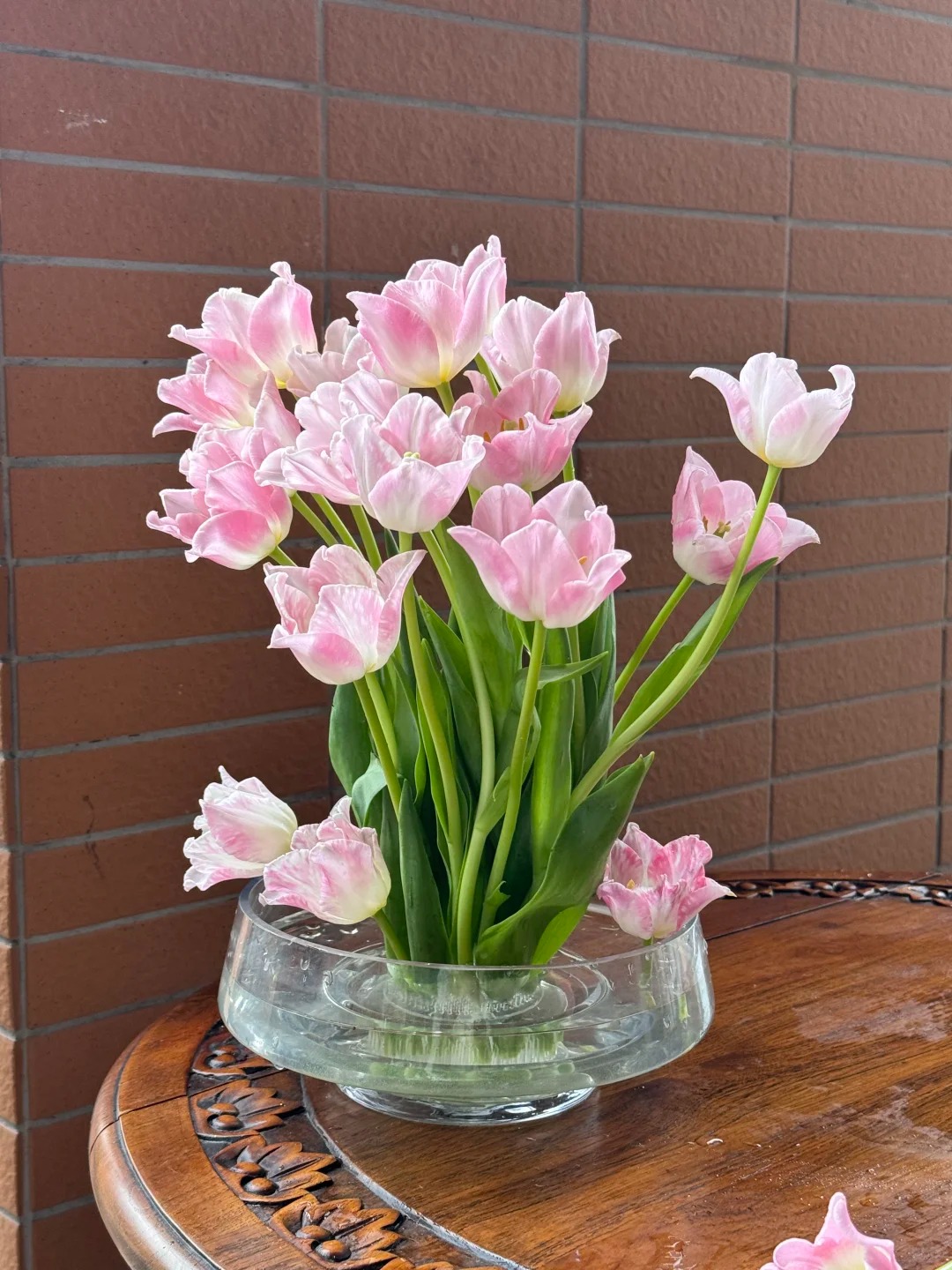 Đừng chỉ cắm lay ơn hay thược dược, Tết n&agrave;y thử ngay lo&agrave;i hoa "đổi m&agrave;u" diệu kỳ: Ban đầu trắng muốt, c&agrave;ng ngắm c&agrave;ng ra tiền!- Ảnh 9.