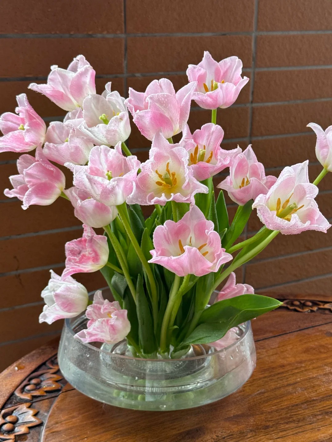 Đừng chỉ cắm lay ơn hay thược dược, Tết n&agrave;y thử ngay lo&agrave;i hoa "đổi m&agrave;u" diệu kỳ: Ban đầu trắng muốt, c&agrave;ng ngắm c&agrave;ng ra tiền!- Ảnh 10.