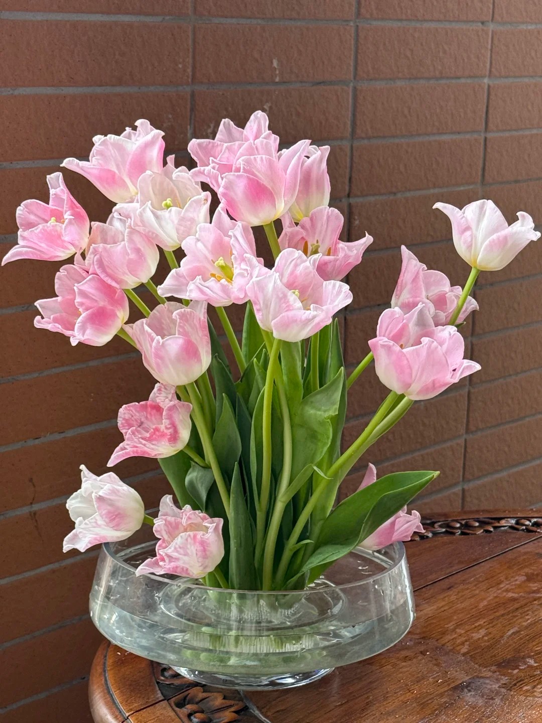 Đừng chỉ cắm lay ơn hay thược dược, Tết n&agrave;y thử ngay lo&agrave;i hoa "đổi m&agrave;u" diệu kỳ: Ban đầu trắng muốt, c&agrave;ng ngắm c&agrave;ng ra tiền!- Ảnh 11.