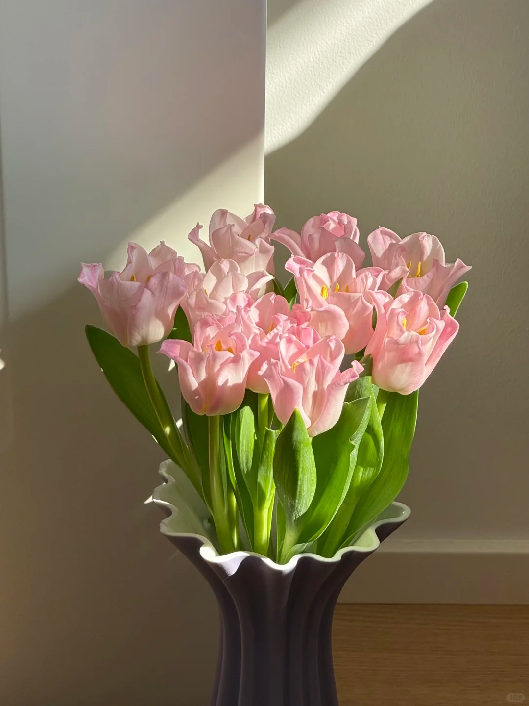 Đừng chỉ cắm lay ơn hay thược dược, Tết n&agrave;y thử ngay lo&agrave;i hoa "đổi m&agrave;u" diệu kỳ: Ban đầu trắng muốt, c&agrave;ng ngắm c&agrave;ng ra tiền!- Ảnh 13.