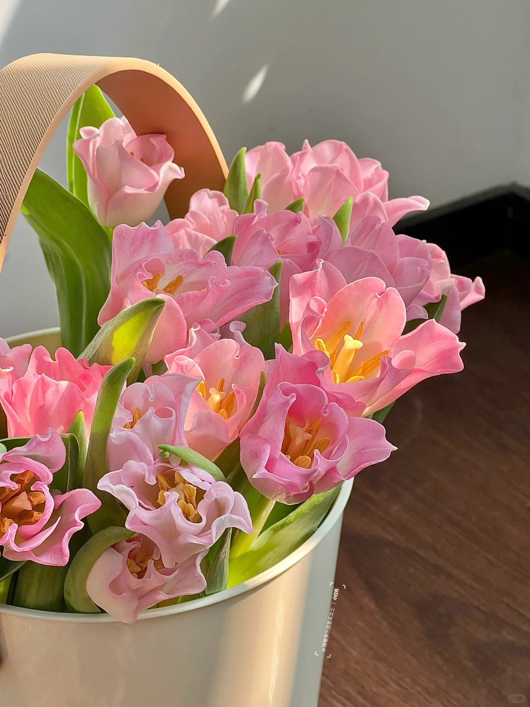 Đừng chỉ cắm lay ơn hay thược dược, Tết n&agrave;y thử ngay lo&agrave;i hoa "đổi m&agrave;u" diệu kỳ: Ban đầu trắng muốt, c&agrave;ng ngắm c&agrave;ng ra tiền!- Ảnh 2.