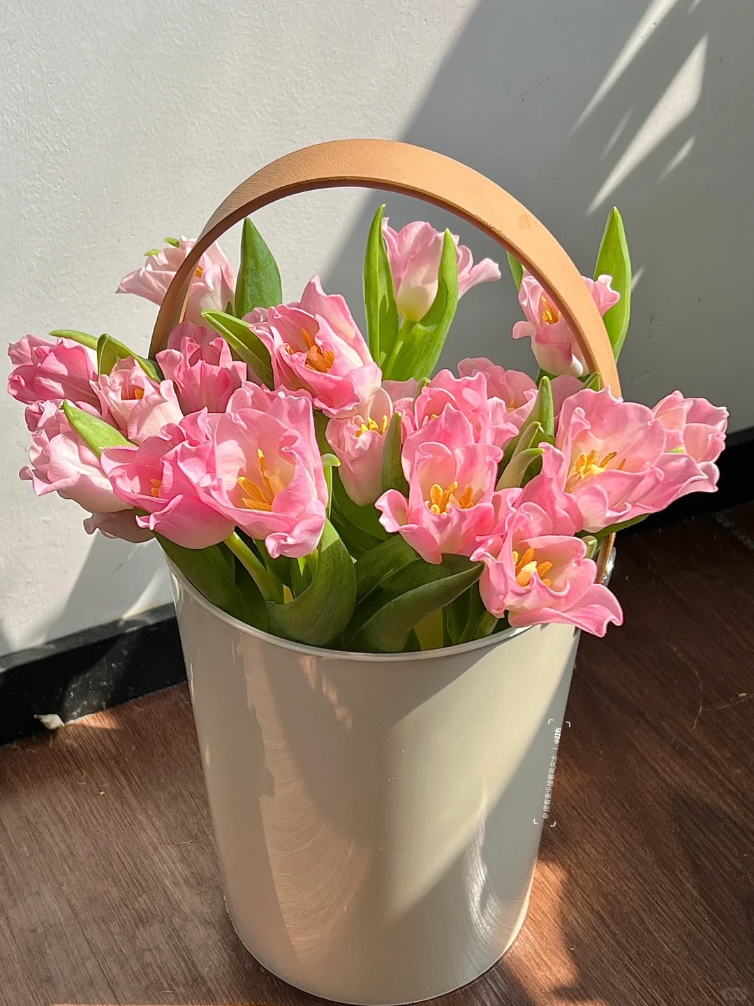 Đừng chỉ cắm lay ơn hay thược dược, Tết n&agrave;y thử ngay lo&agrave;i hoa "đổi m&agrave;u" diệu kỳ: Ban đầu trắng muốt, c&agrave;ng ngắm c&agrave;ng ra tiền!- Ảnh 3.