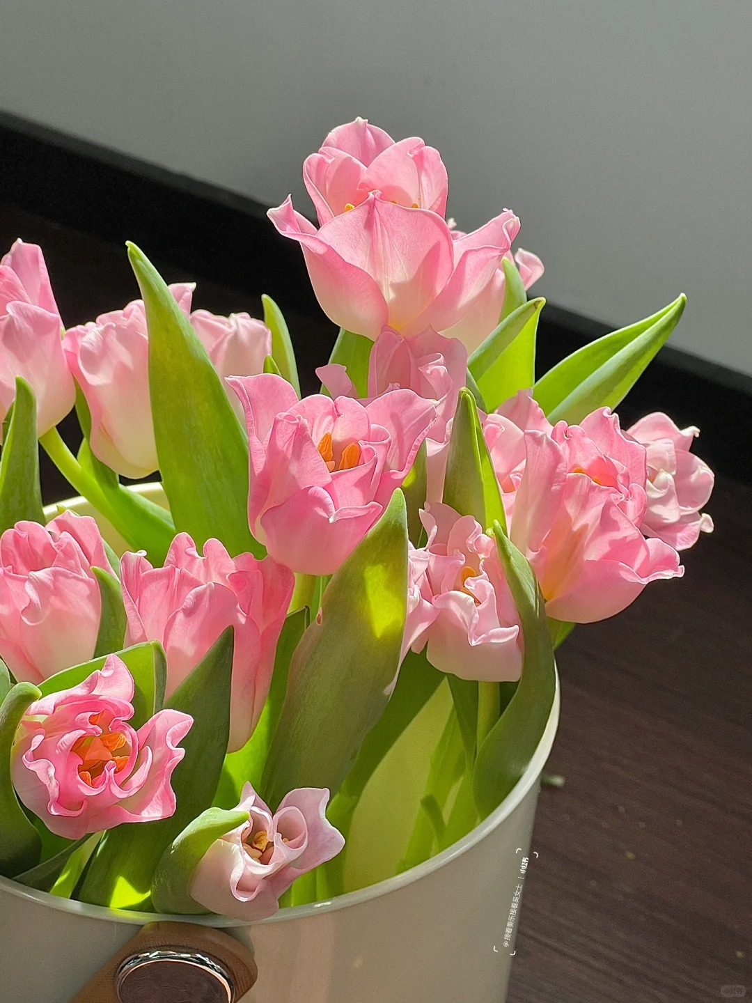 Đừng chỉ cắm lay ơn hay thược dược, Tết n&agrave;y thử ngay lo&agrave;i hoa "đổi m&agrave;u" diệu kỳ: Ban đầu trắng muốt, c&agrave;ng ngắm c&agrave;ng ra tiền!- Ảnh 4.