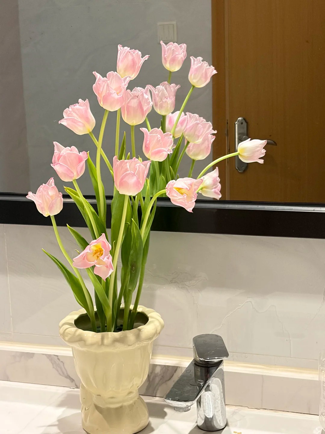 Đừng chỉ cắm lay ơn hay thược dược, Tết n&agrave;y thử ngay lo&agrave;i hoa "đổi m&agrave;u" diệu kỳ: Ban đầu trắng muốt, c&agrave;ng ngắm c&agrave;ng ra tiền!- Ảnh 7.