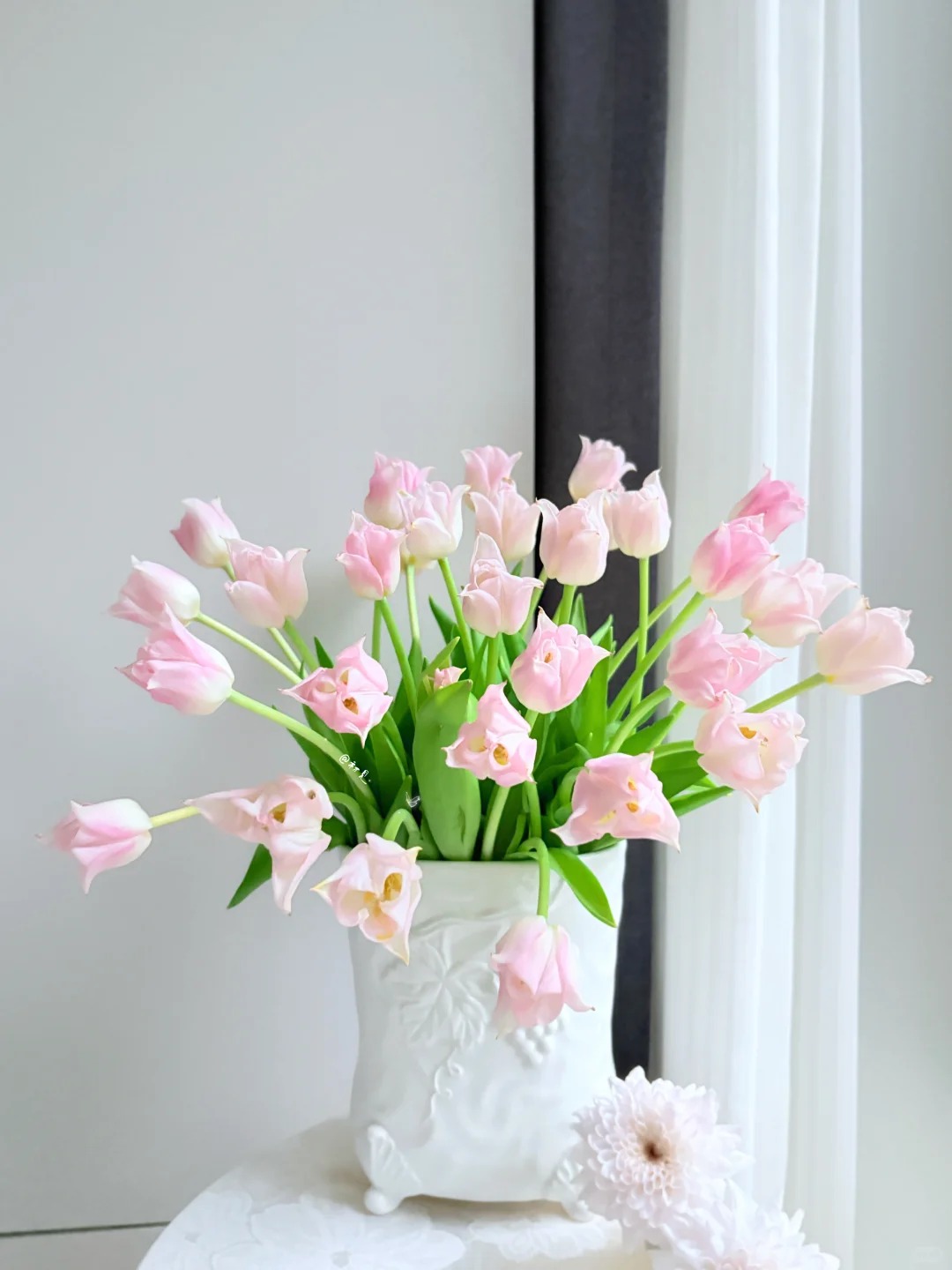 Đừng chỉ cắm lay ơn hay thược dược, Tết n&agrave;y thử ngay lo&agrave;i hoa "đổi m&agrave;u" diệu kỳ: Ban đầu trắng muốt, c&agrave;ng ngắm c&agrave;ng ra tiền!- Ảnh 16.