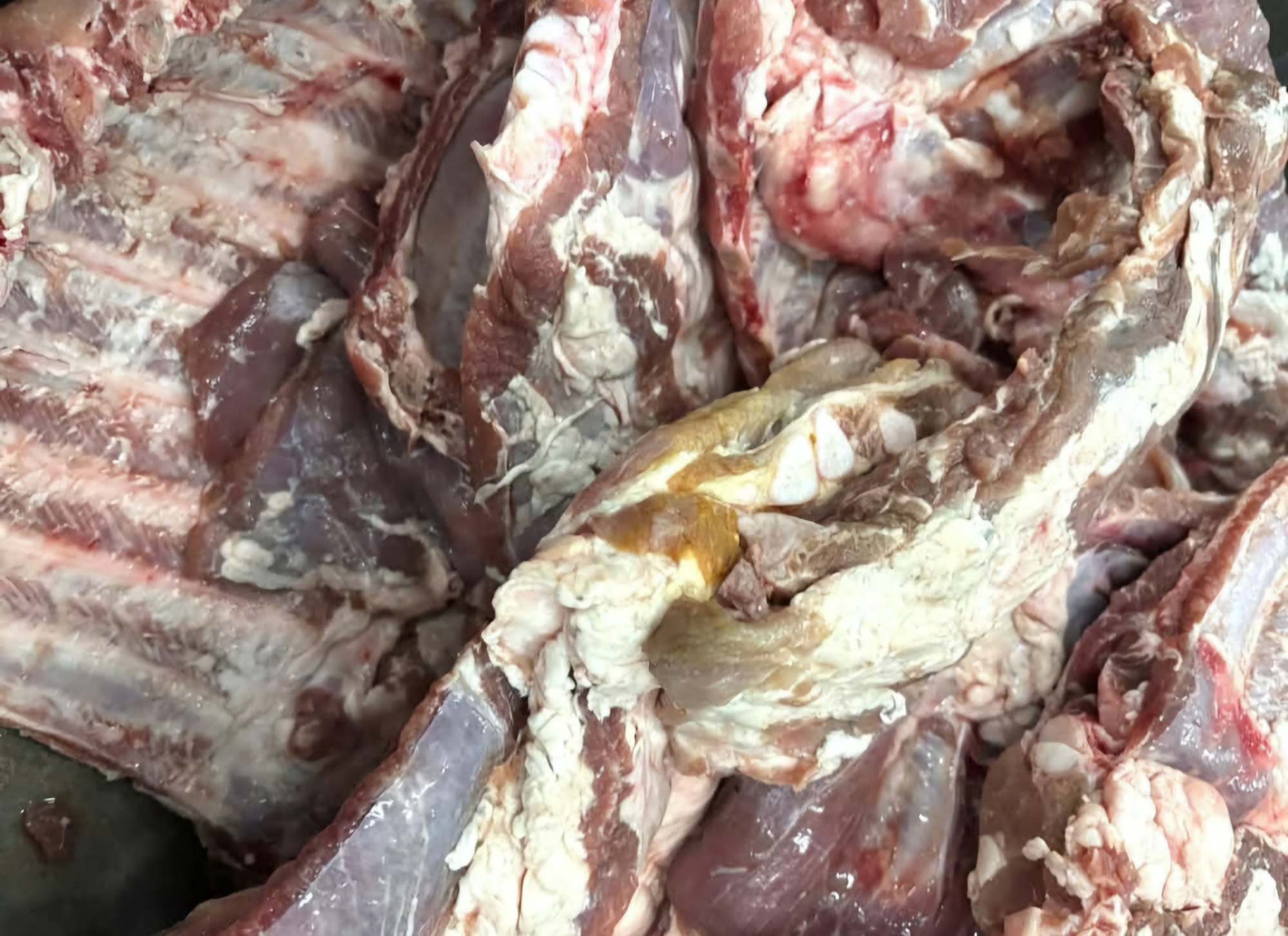 Diễn biến vụ "sườn heo c&oacute; m&agrave;u 'lạ' đưa v&agrave;o trường học ở TPHCM": Địa phương b&aacute;o c&aacute;o g&igrave;?- Ảnh 1.