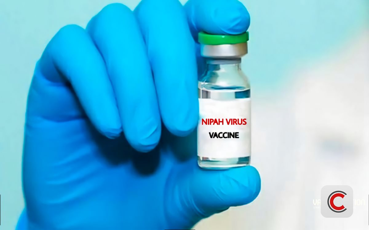 Nipah: Tại sao dịch bệnh c&oacute; tỷ lệ tử vong 40-75% vẫn chưa c&oacute; vaccine sau 20 năm ph&aacute;t hiện?- Ảnh 1.
