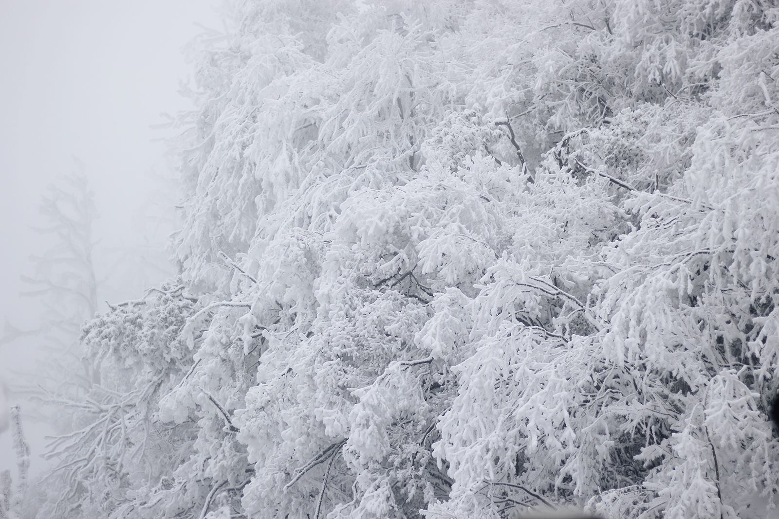 Kh&aacute;ch Việt bị y&ecirc;u cầu giấu t&uacute;i nilon đi khi du lịch Trung Quốc, l&yacute; do ph&iacute;a sau khiến ai cũng lạnh sống lưng- Ảnh 2.