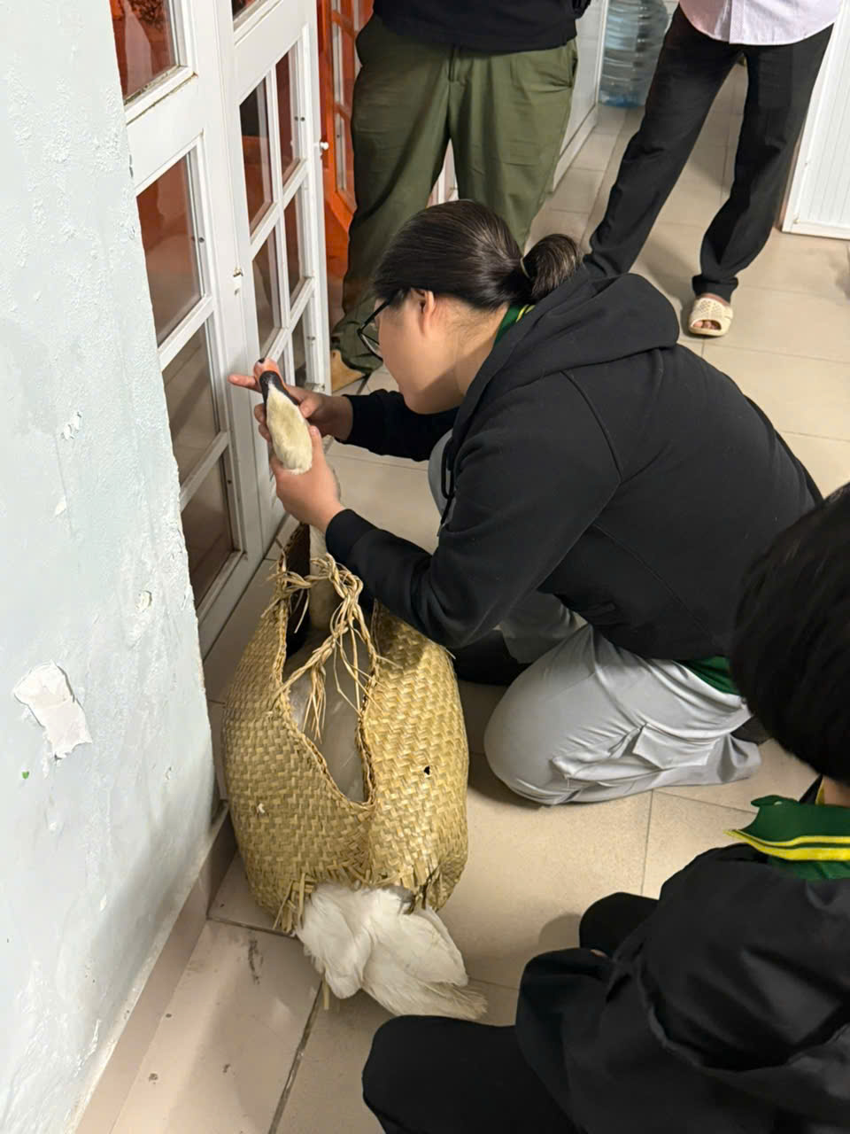 Đối tượng trộm thi&ecirc;n nga trắng ở Thảo Cầm Vi&ecirc;n S&agrave;i G&ograve;n khai g&igrave;?- Ảnh 3.