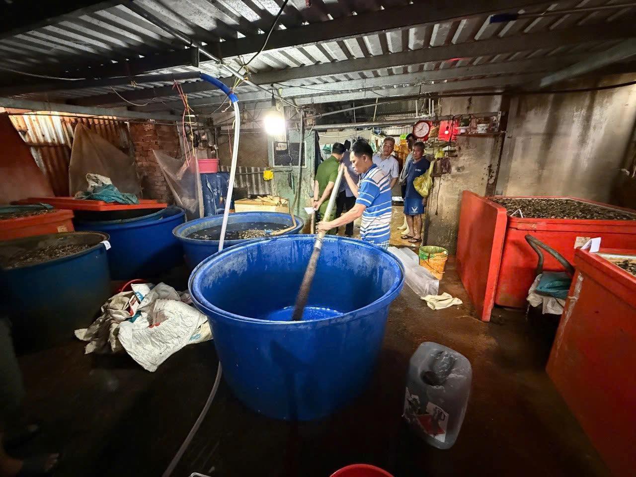 R&ugrave;ng m&igrave;nh cận cảnh &ldquo;l&ograve;&rdquo; ng&acirc;m 3.000 tấn thịt ốc bươu bằng 500 tấn h&oacute;a chất sản xuất xi măng ở TP.HCM- Ảnh 2.