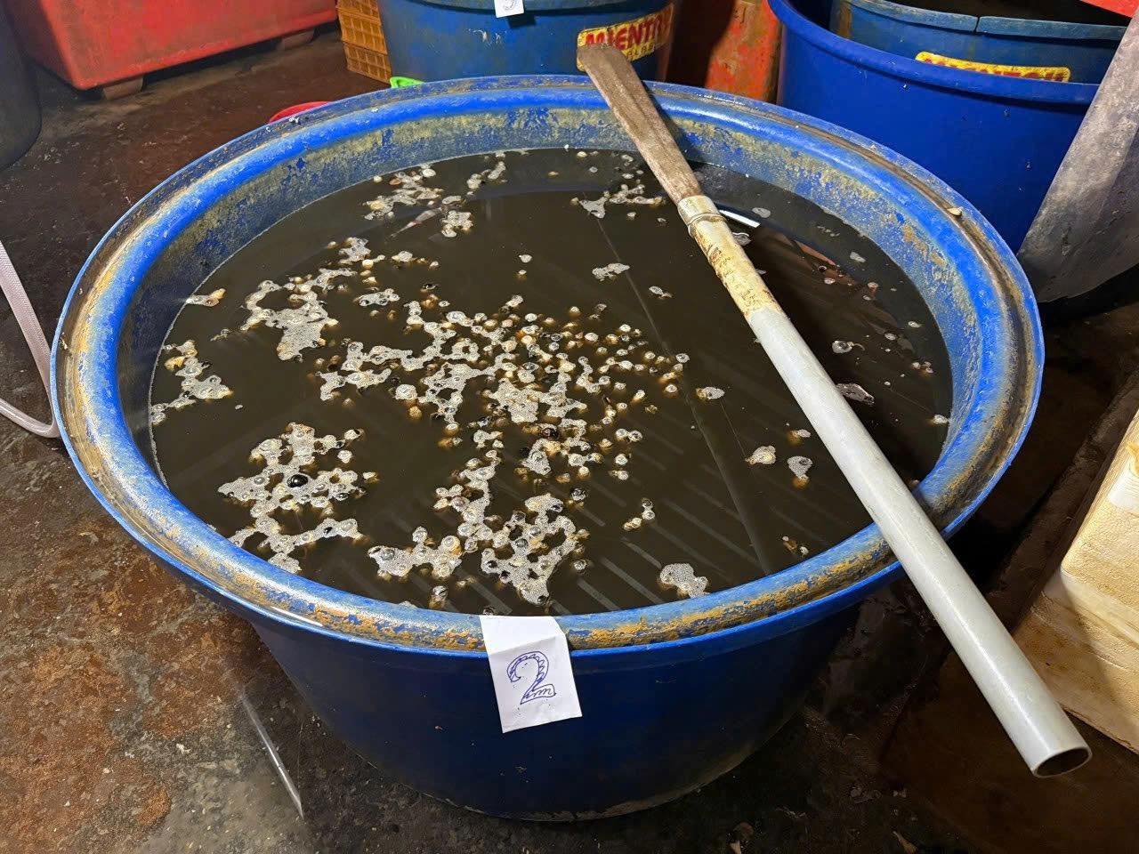 R&ugrave;ng m&igrave;nh cận cảnh &ldquo;l&ograve;&rdquo; ng&acirc;m 3.000 tấn thịt ốc bươu bằng 500 tấn h&oacute;a chất sản xuất xi măng ở TP.HCM- Ảnh 1.