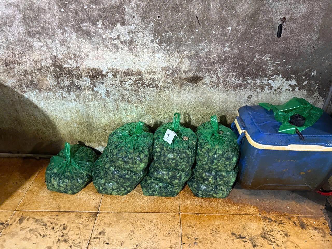 R&ugrave;ng m&igrave;nh cận cảnh &ldquo;l&ograve;&rdquo; ng&acirc;m 3.000 tấn thịt ốc bươu bằng 500 tấn h&oacute;a chất sản xuất xi măng ở TP.HCM- Ảnh 6.