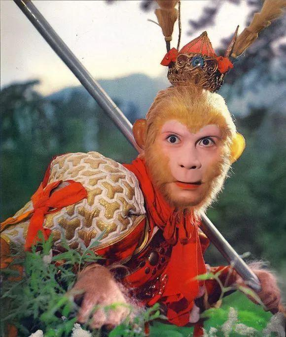 Xem T&acirc;y Du K&yacute; ở tuổi 35, t&ocirc;i nhận ra 3 sự thật nghiệt ng&atilde;: Đợi đến l&uacute;c &ldquo;bị đ&egrave; dưới n&uacute;i&rdquo; 500 năm mới tỉnh ngộ th&igrave; qu&aacute; muộn!- Ảnh 1.